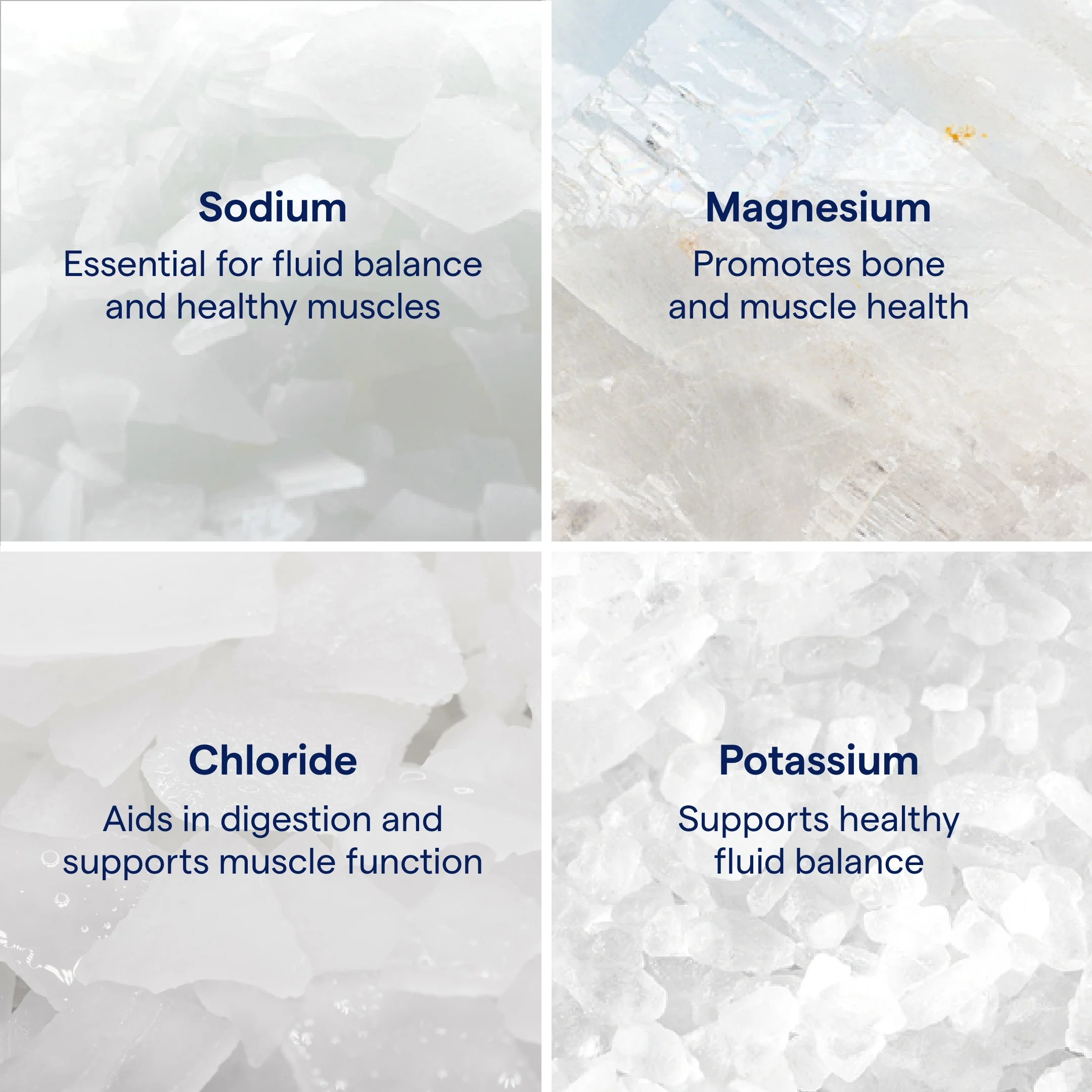 ConcenTrace® Trace Mineral Drops - Image 6