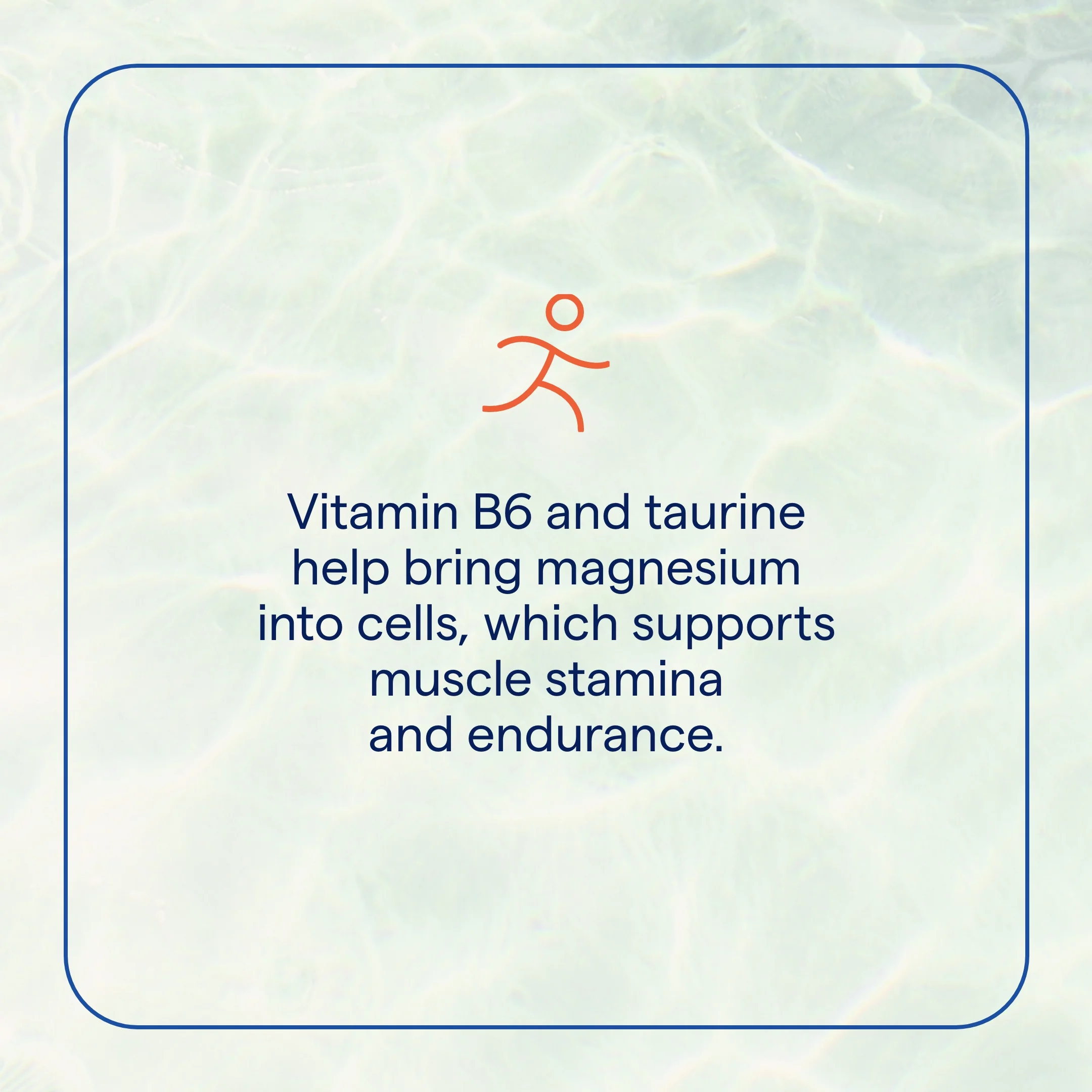 Electrolyte Stamina - Image 3